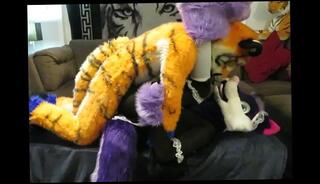 Video 780620103: gay furry sex, gay furry fuck, furry cock, big furry, amateur big cock handjob, amateur webcam sex, big cock rough sex