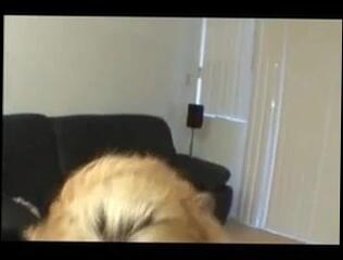 Video 95639401: anna nova, masturbating straight, tugging masturbation, german masturbation