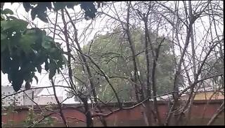 Video 1590078941: gay asian amateur, asian american gay, gay time, good gay