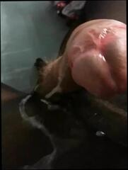 Video 301284601: nylon cum, nylon gay man, nylon ass, nylon heels