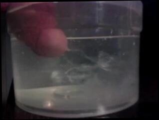 Video 84843701: gay man cumshot, underwater cumshot