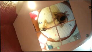 Video 924698365: interracial gay anal, motel anal