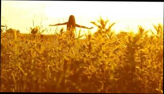 Video 158069201: softcore babes, sexy babe, ass boobs, babe straight, party babes