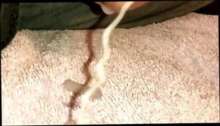 Video 1571134191: gay cumshot, dirty stuff, horny