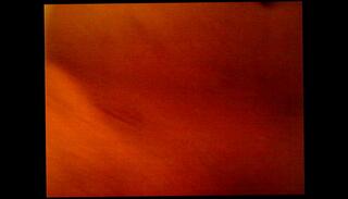 Video 114785745: solo boy, lady