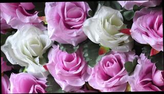 Video 1623927111: indian couple sex aunty, sex aunty girls, girl pov sex, wife pov sex, aunty desi girls indian, desi old aunty sex, bangladeshi aunty sex, asian girl pov, mature wife pov, bf pov, sex pov hd, pov straight, bengali desi aunty indian, aunty indian 18 year, indian aunty plays