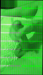 Video 344076501: gay cock cum, man cock cum, dick cumming hard, hard dick jacking, cum hd