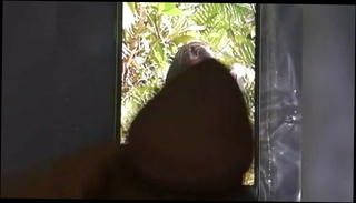 Video 1571516471: bdsm compilation, gay handjob cumshot compilation, handjob blowjob cumshot compilation, handjob cum compilation, girl cum compilation, big cock handjob compilation, sex cum compilation, masturbation cum compilation, sex toys compilation, indian cum compilation, cum compilation hd, model cumming, spanking compilation