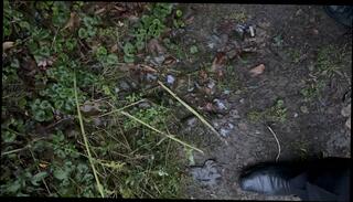 Video 1606069121: hairy uncut daddy, hairy big uncut cock, hairy skinny gay, hairy uncut bear, uncut hairy black big, uncut british cock, uncut cock outdoor, uncut cock public, hd uncut, horny man fucking, fucking very horny, loves fucking horny, fucking hot horny, straight married guy, guys dick, dick shy