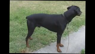 Video 682659385: teen couple fucking hardcore, amateur teen couple fucking, couple blowjob fucking hardcore, amateur teen gf hardcore, blowjob hardcore pussy fucking, teen girl pussy fucked, tits girl pussy fuck, hardcore amateur teen porn, girl friend blow fuck, teen ex gf porn, blow job tit fuck, couple hard pussy fucking, women friendly amateur porn, hot amateur couple fucking, teen roughly pussy fucked, small tits teen blows, fucking best friends girl, ass wet cunt