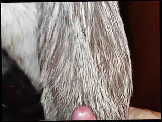 Video 1595976741: solo gay uncut, fetish gay solo, uncut gay boys, amateur solo boy, uncut german, uncut white, uncut european, boy playing