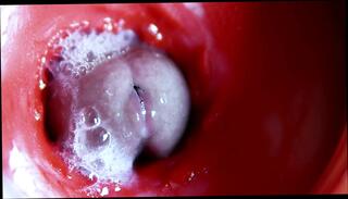 Video 1655549321: femboy twink cums, twink femboy boy, sexy femboy twink, femboy anal creampie, twink femboy masturbates, twink femboy gay, twink femboy fucks, femboy teen twink, bdsm anal creampie, fetish bdsm anal, fetish hardcore bdsm, bdsm fetish cock, bdsm fetish sex, fetish bdsm hot, daddy fucks twink gay, twinks anal sex cumshot, dick twink anal sex, cock sex toys fetish, femboy moans cums, big cock femboy cum, femboy moaning orgasm, anal orgasm creampie close, cum anal creampie inside, gay man fucking twink, massive creampie cum, twink russian boy, anal creampie hd, sperm close, sweet sperm, hole sperm, huge sperm