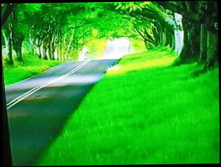 Video 1586082371: threesome gay bareback anal, orgy bareback black gay, boy bareback orgy, orgy teen threesome, gay massage bareback, amateur bareback orgy, bareback group orgy, threesome outdoor bareback, anal bareback sucks cock, gay bareback boy friends, black daddy cock bareback, daddys big cock bareback, bareback young gay boy, teen anal threesome hd, gay bareback hunk, muscular hunk bareback, gay arab bareback, teen threesome old, fat cock bareback, american orgy, big boobs