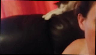 Watch the video about Slut Wife Sucks Dick