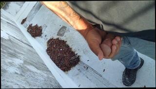 Video 1624309913: dick solo masturbating cumming, solo cock masturbation cum, cock masturbation solo cumshot, solo male masturbation moaning, solo masturbation cum shot, masturbation solo male babe, amateur solo male masturbation, solo big cock masturbation, solo masturbation handjob, solo public masturbation, big balls solo, solo tattooed babe, fast solo, quick masturbation, masturbate job