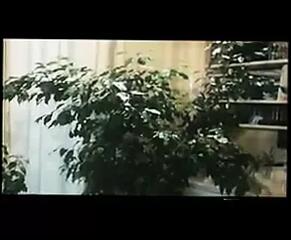 Video 84559001: cathy stewart, vintage hairy sex, vintage big boobs, vintage big tits, vintage straight, vintage french