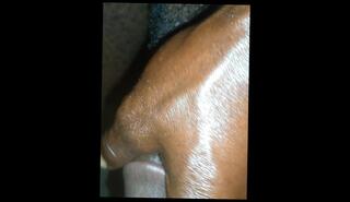 Video 1621284253: threesome swingers amateur, solo cock massage, homemade threesome amateur anal, amateur girl solo masturbation, homemade hardcore anal threesome, hardcore anal threesome sex, indian girl massage sex, cock solo male masturbation, big boobs anal threesome, asian girl solo masturbation, threesome rough anal sex, solo male masturbation cumshot, big ass solo masturbation, big tits massage girl, massage handjob cumshot, big ass latin solo, red head solo