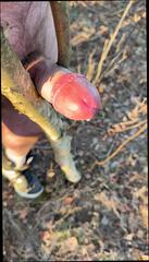 Video 1624759301: amateur bdsm homemade, hardcore bdsm, gay bdsm, hd bdsm, homemade polish