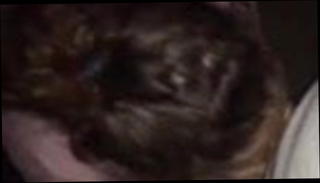 Video 787750601: bareback cock sucking, takes bareback cock, bareback straight, stranger bareback, whore sucking fucking, suck bare fuck, sucking married, stranger mom