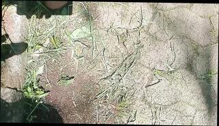 Video 1622095021: bbc solo cumshot, bbc solo cum, solo bbc masturbation, skinny bbc, horny homemade solo, bbc gay cum, bbc bust nut, horny young skinny, bbc public masturbation, solo outdoor cum, solo masturbation hd, solo exhibition, skinny african, horny talking