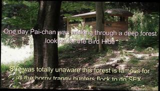 Video 1607871221: sissy crossdresser solo, sissy crossdresser shemale, amateur sissy crossdresser, sissy crossdress japanese asian, amateur solo porn, shemale beauty solo, high heels sissy, crossdresser outdoors heels, solo hd