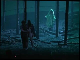 Video 33596401: public nudity, nude, straight public