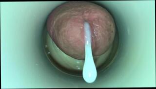 Video 346143401: pregnant cum, masturbate cum cam, sex toy cam, amateur cam masturbation, gay masturbation cum, cum cam man, semen cum, amateur masturbation hd