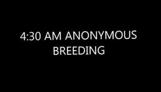 Video 262121801: bareback amateur gay, gay bareback breeding, dick ass, nasty pig