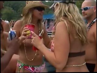 Video 502332704: party animals