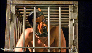 Video 1230245104: tony buff, steven daigle, bdsm fetish sex, bdsm gay sex, bdsm hunk, bdsm blowjob, cage, master, toys