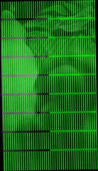 Video 353878301: cock masturbation cumshot, gay cock cumshot, amateur cumshot masturbation, cock huge cumshot, small cock cumshot, amateur masturbation hd, cock stroking