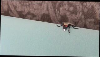 Video 1587821511: foot worship big feet, foot worship massage, bondage foot worship, massage cock milking, foot worship handjob, uncut cock worship, milking cock bdsm, gay foot worship, foot leg worship, foot worshiped european, white feet worship, feet worshiping man, young feet worship, foot worship hd, gay naked uncut, uncut cock big cumshot, milk sperm, sporting big uncut, worship muscular, uncut tattooed, younger gay men, men blowing, testicles