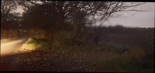 Video 1656349841: solo masturbation feet, solo caught, solo male feet, amateur homemade solo masturbation, caught naked masturbating, caught masturbating cumming, solo jerk cum, solo masturbation wanking, solo jerk gay, solo masturbation nude, caught naked public, car masturbation caught, naked barefoot, caught masturbating outdoors, caught masturbating outside, solo masturbation hd, british solo male