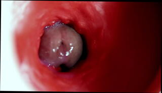 Video 1644207865: solo sex fucking machine, oiled pov cock, fetish machine fuck, solo pov pussy, fetish pov blowjob, fetish gay solo, pov amateur solo, anal fucking machine orgasm, sex toy machine fucking, fuck machine big cock, fucking machine deep throat, wet pussy fuck machine, fuck machine moaning, pov sex doll fucking, fuck machine sexy, beauty pov cock, sex machine close, redhead fucking machine, romantic pov sex, cute pussy solo, hole big cock, cock smacking