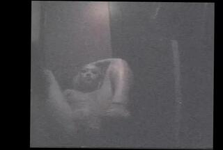 Video 305739501: pierced pussy, striptease pussy, straight pussy, private striptease, teasing