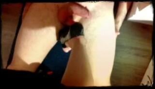 Video 77217601: femdom ball busting, blonde femdom babe, big boobed femdom, big tit femdom, dominant princess, domination teaser, best domination, ball busting trample, busted straight, dirty shoes, funny big boobs