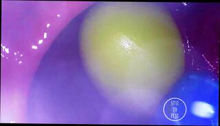 Video 1626740231: crossdresser ladyboy sissy femboy, crossdresser sissy femboy shemale, fetish crossdresser sissy, amateur shemale crossdresser femboy, femboy gaping ass, femboy anal gape, big ass femboy sissy, butt sissy femboy, sissy crossdresser toying, pov anal gape, sissy crossdresser cock, girl fetish pov, sissy gaping hole, young sissy femboy, big dick anal gape, anal gape webcam, gaping ass hole stretched, pov german amateur, inside pov, austrian amateur girl