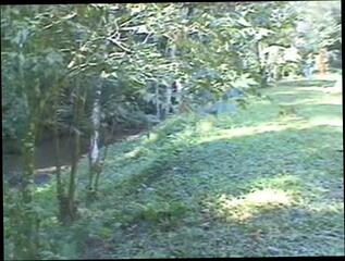 Video 119231904: shemale fucks guy compilation, latin compilation, shemale riding