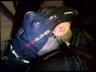 Video 324280701: gay handjob cum, riding cum