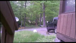 Video 1190585765: naked nude gay, gay nude outdoor, nude public gay, nude outside