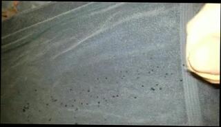 Video 102039201: gay masturbation cumshot, amateur cumshot masturbation, masturbation huge cumshot, man masturbation cumshot