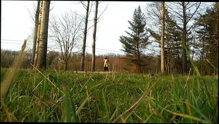 Video 234686001: public nudity, gay man public