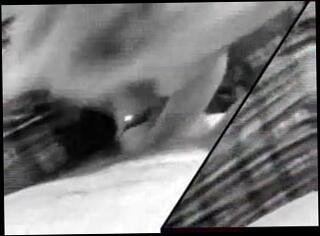 Video 15286901: gay man sucking, dude blows, blow job