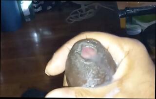 Video 1611908751: uncut bbc, big uncut dick cum, uncut dick gay, uncut dick masturbation, uncut dick cumshot, gay porn uncut, uncut dick ass, bbc homemade amateur, big black uncut dick, hot uncut dick, uncut load, cut uncut, uncut british, hd uncut, shots bbc, uncut man, big dick jerkoff