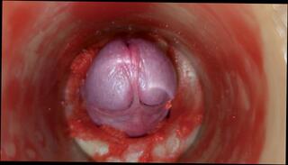 Video 1653518023: pov milk fetish, pov amateur solo male, pov creampie cum, pov milks cock, dick pov creampie, pussy creampie pov, pov cumshot creampie, pov creampie inside, pov creampie big, toy cock milking, milk ejaculate, shrink giantess pov, camera creampie, sperm cum