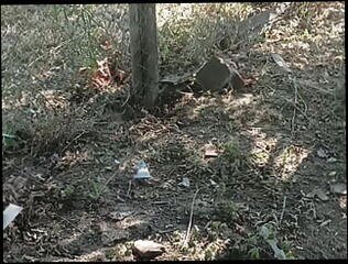 Video 1617041261: pissing masturbating cumming, gay piss cum, pissing cumming outside, pissing mouth gay, pissing amateur, pissing handjob, piss blowjob, pissing hd, croatian amateur