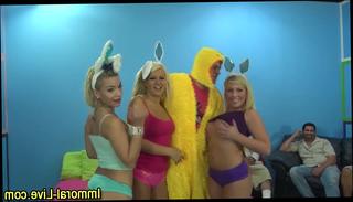 Watch the video about Big tit pornstar party