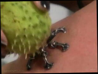 Video 17341001: straight bdsm, bdsm part 1