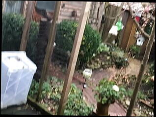 Video 1620510511: homemade gay porn, homemade amateur porn, german homemade porn, naked sex, homemade amateur close