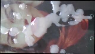 Video 222874201: whores love, man gay